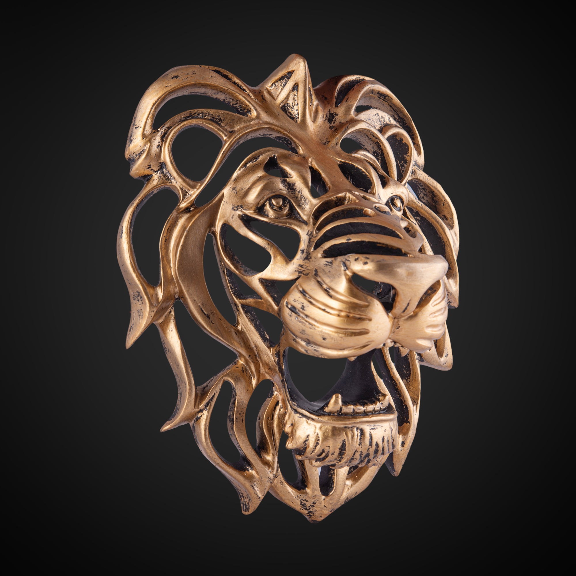 LION HEAD DECOR - Image 3