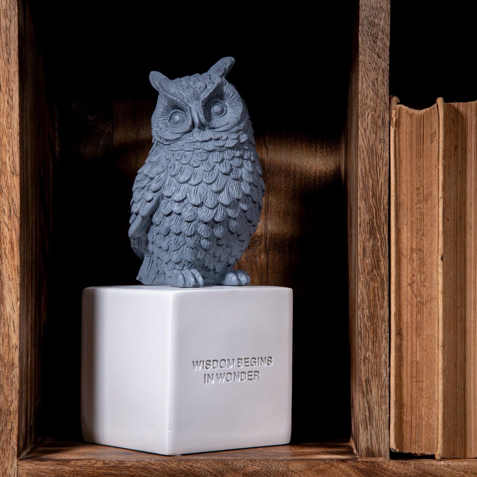 Wise Owl Brings Fortune Decor - Image 7