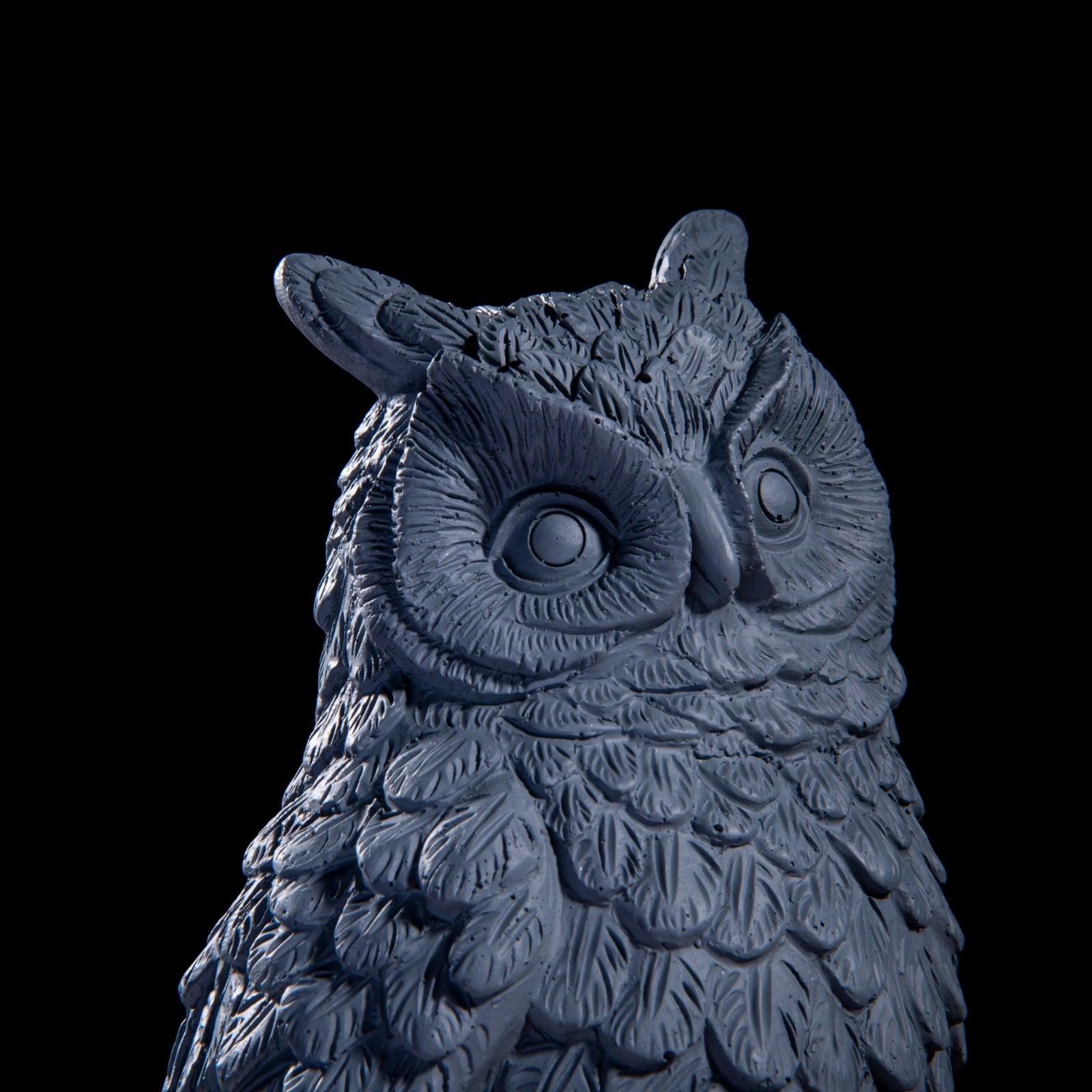 Wise Owl Brings Fortune Decor - Image 3