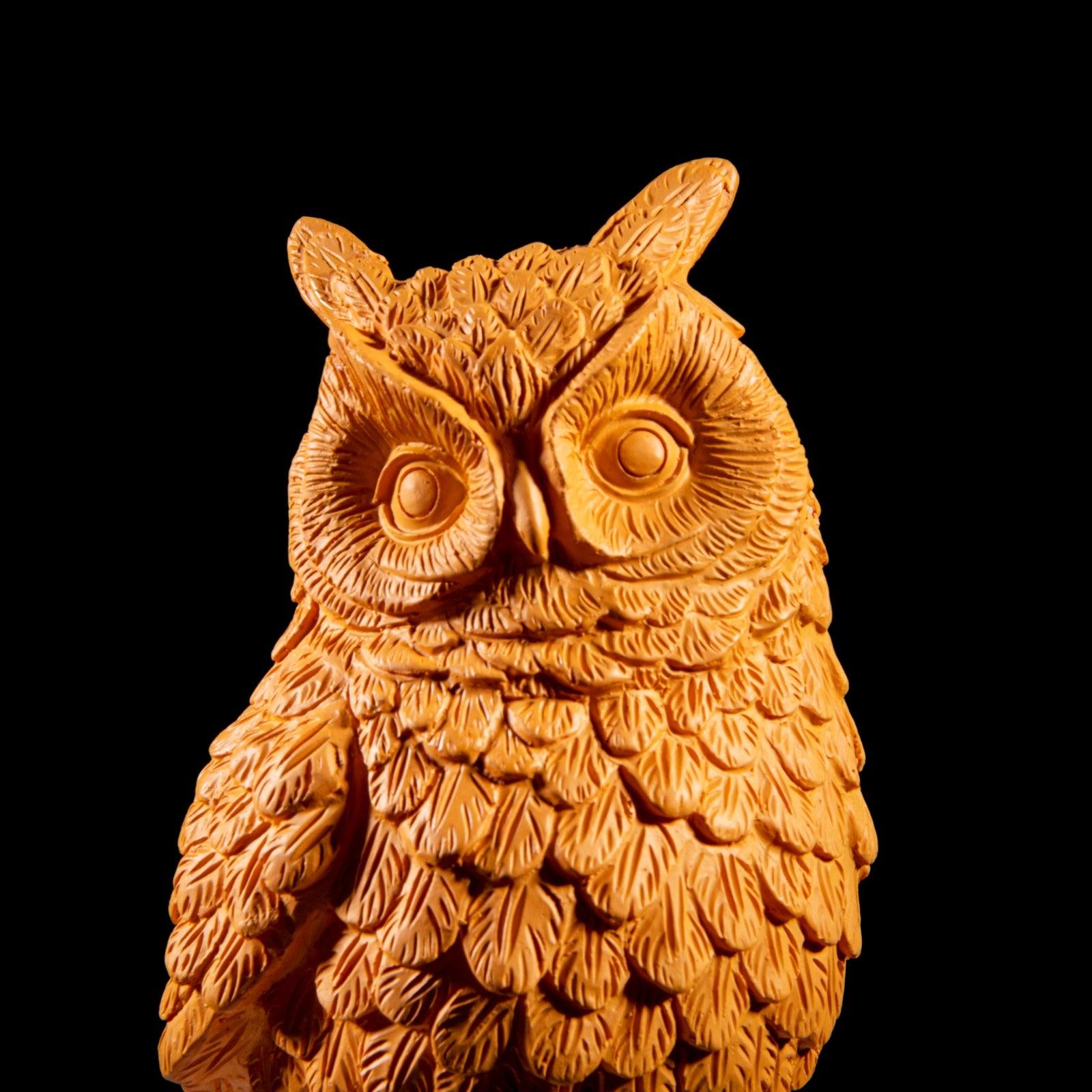 Wise Owl Brings Fortune Decor - Image 4
