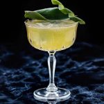Felina Cocktail Glass - Set Of 6
